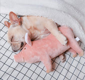 Cerdito Acompañante De Dormir