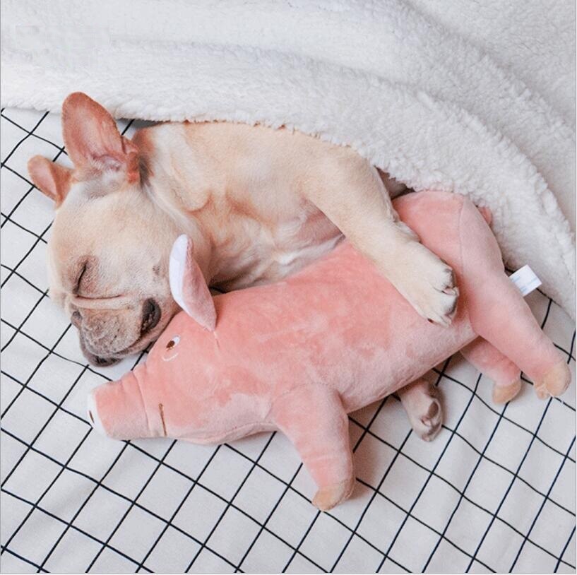 Cerdito Acompañante De Dormir