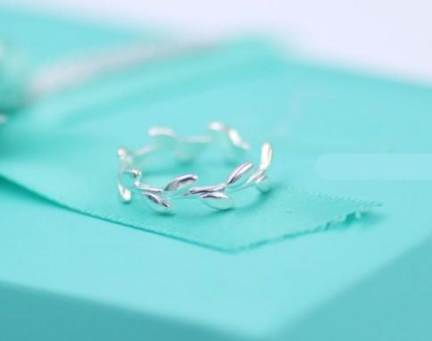 Olive leaf imitates silvering