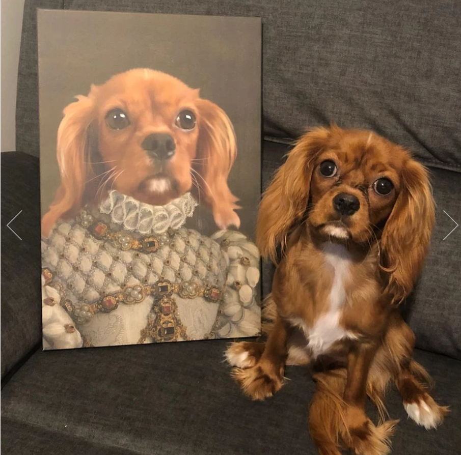 Personalized Pet Canvas Portrait