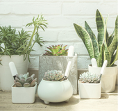 Soil Monitoring Instrument for Plant Cultivation