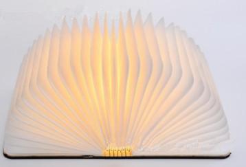 LED Creative Book Nightlight