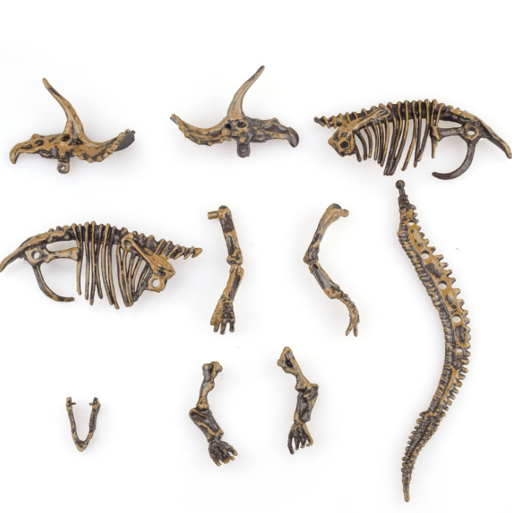Dinosaur archaeological excavation toys  educational toys