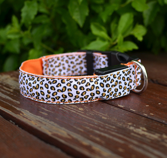 Collar LED