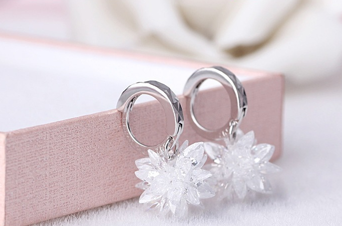 Pure beauty ice 925 silver earrings