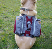 Bolsa Portátil Para Perro