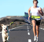 Correa En Cintura Con Bolsa