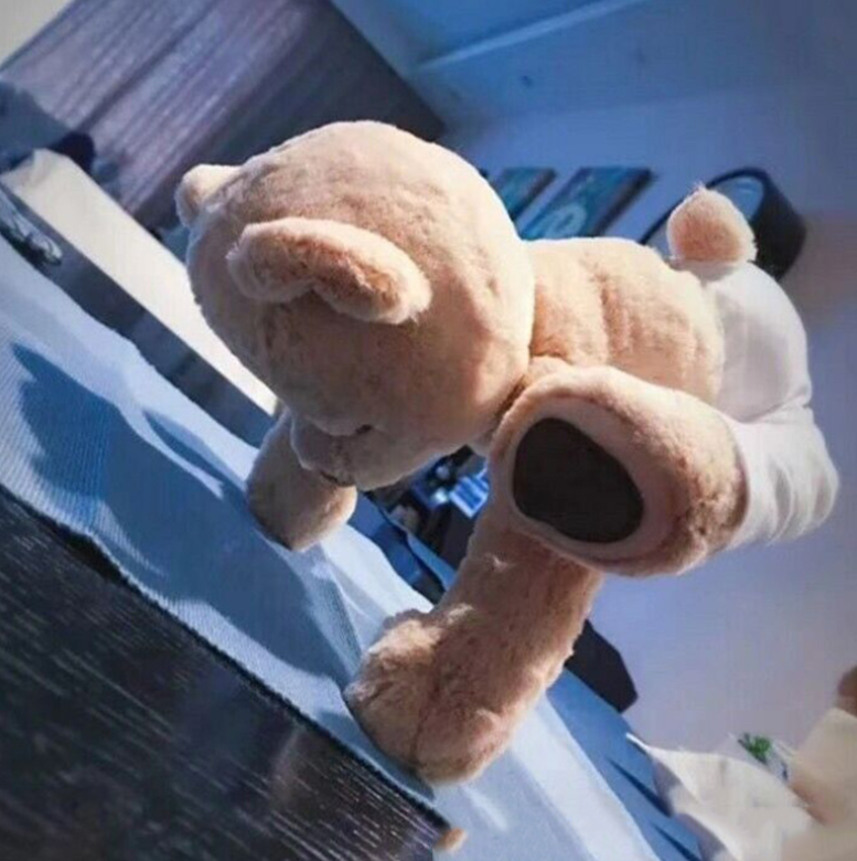 Yoga teddy bear