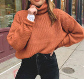 Turtle collar sweater