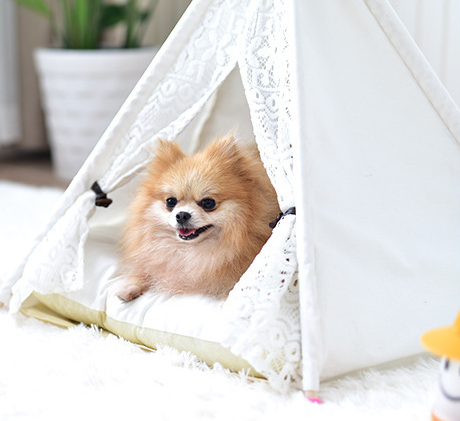 Small tent