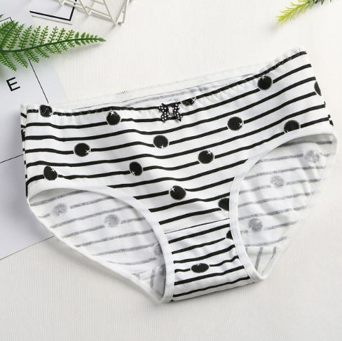 Stripes Briefs