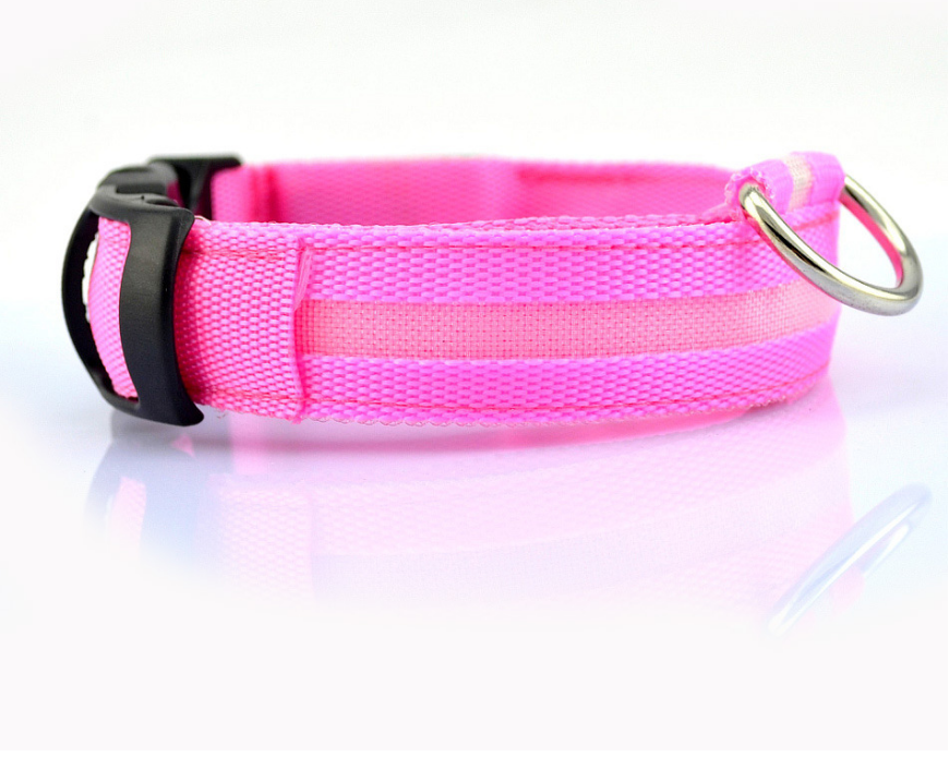 Collar Led Para Perro