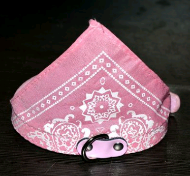 Collar Paliacate Bandana