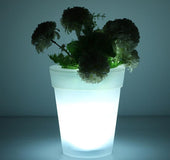 Solar Powered Decorative Flowerpot
