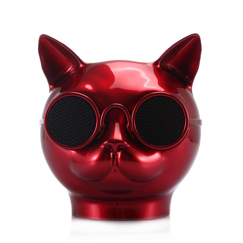 Cool Cat Portable solar Verizon new speaker with LED light