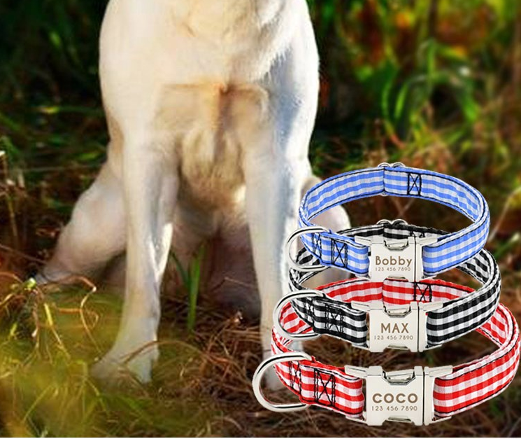 Identificador Collar Para Mascotas