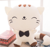 Cute creative cat doll plush toy birthday gift girl doll doll big face cat doll
