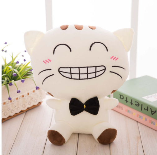 Cute creative cat doll plush toy birthday gift girl doll doll big face cat doll