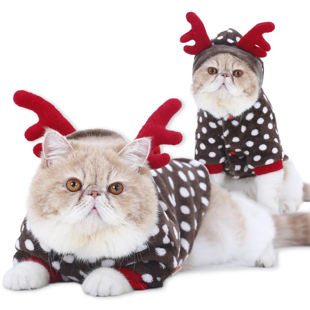 Cat clothes christmas elk makeover