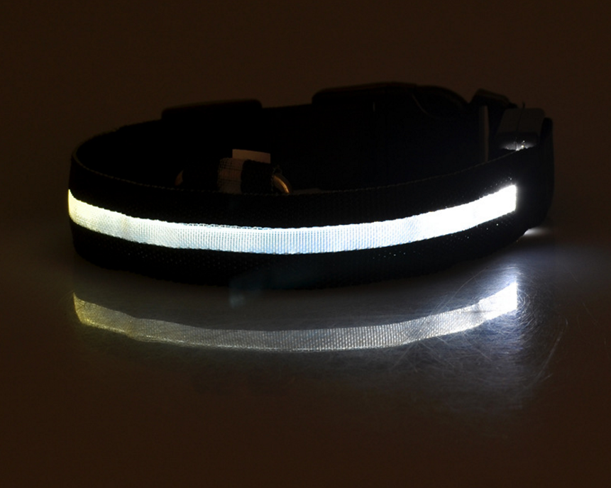 Collar Led Para Perro