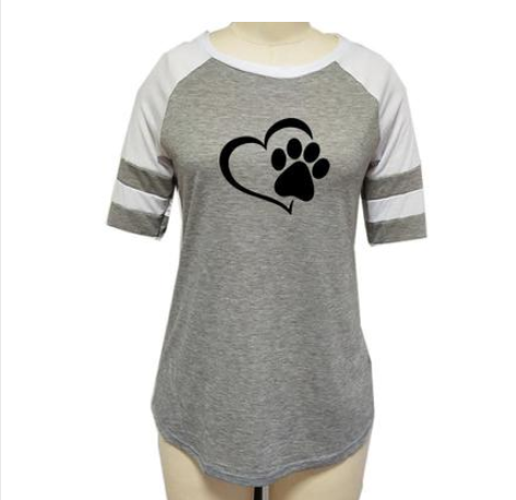 Dog paw