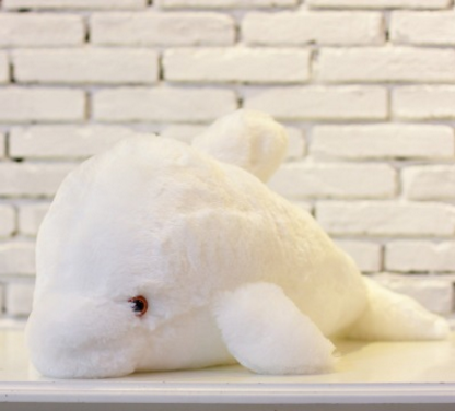 Dolphin Luminous Plush