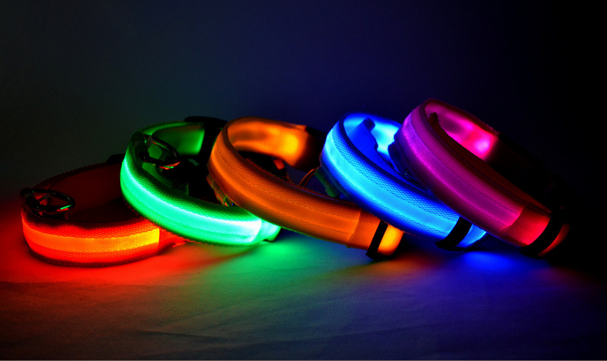 Collar Led Para Perro