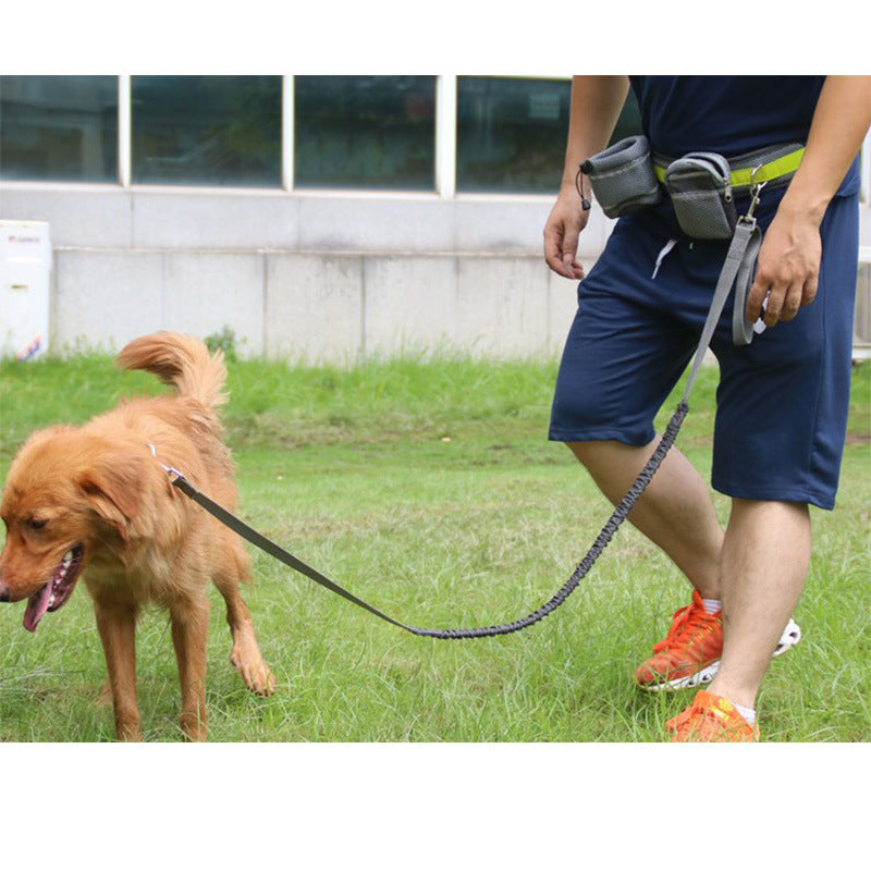 Correa para perro ajustable manos libres