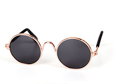 Lentes Fashion Instagram Gato