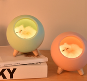 Pet house night light