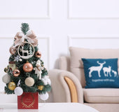 Lighted Mini Christmas Tree Set