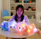 Perro De Peluche Con Luz