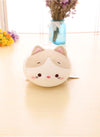 Translation missing: es.sections.featured_product.gallery_thumbnail_alt
