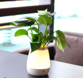 Vase dormitory night light Creative fun bedroom bedside lamp charging feeding lamp Home decoration lamp atmosphere lamp