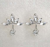 Flower white crystal