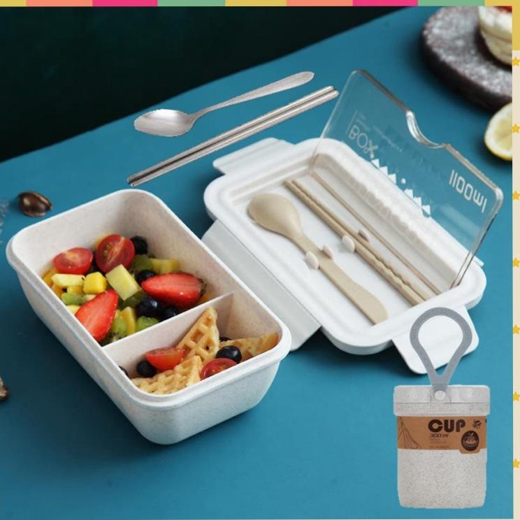 Pluggable heating lunch box