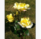 Solar rose lamp 3garden light lawn light