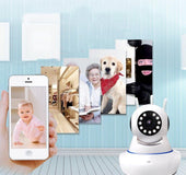 Wireless camera remote monitoring