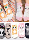 Translation missing: es.sections.featured_product.gallery_thumbnail_alt
