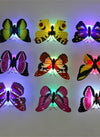 Translation missing: es.sections.featured_product.gallery_thumbnail_alt
