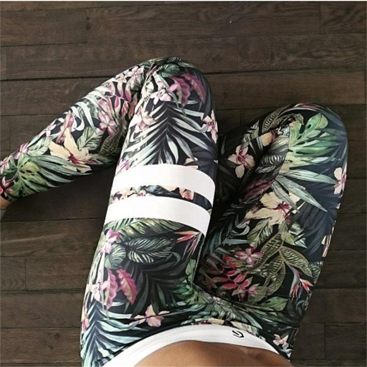 Jungle Leggings & Sports Bra Set