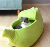 Cama Plátano Gato Perro