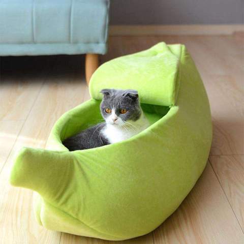 Cama Plátano Gato Perro