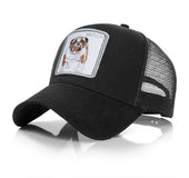 Sunscreen mesh fishing cap