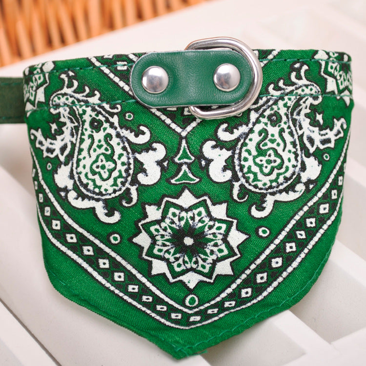 Collar Paliacate Bandana