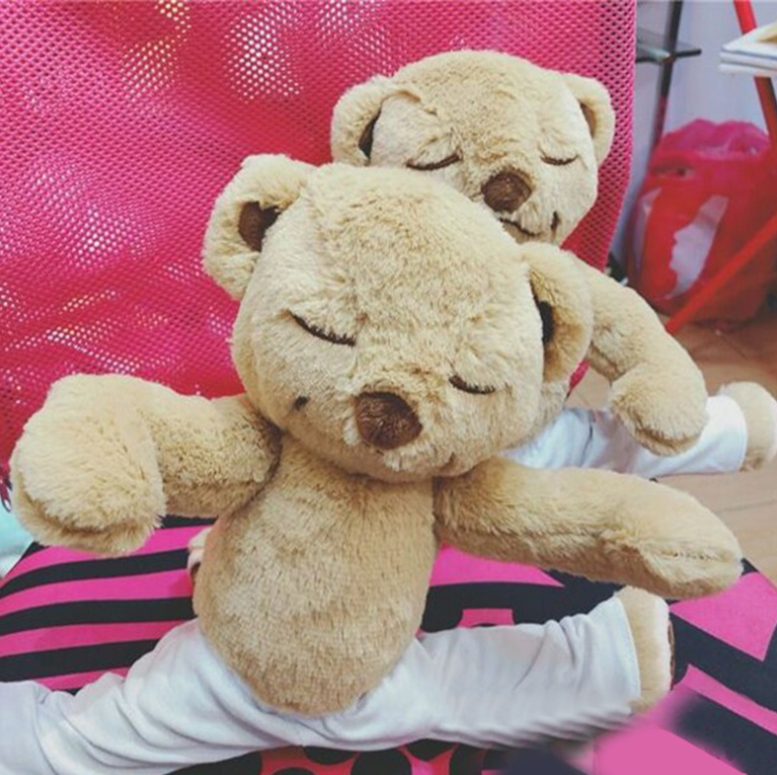 Yoga teddy bear