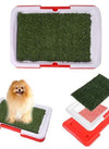 Translation missing: es.sections.featured_product.gallery_thumbnail_alt
