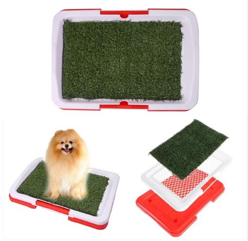 Tapete Entrenador Para Perro