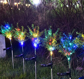 Garden landscape with lawn light