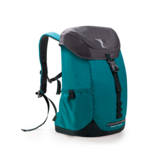 Backpack umbrella